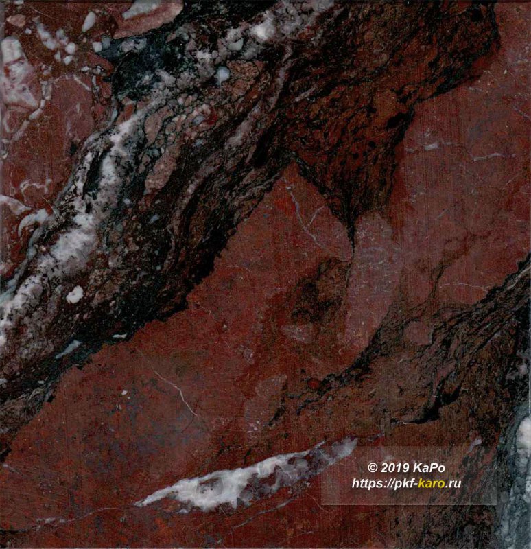 Образец литотеки № 5 Образец камня-криноидный известняк-темный Образец камня - криноидный известняк - темный