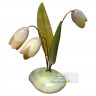 Сувенир из селенита "Подснежник" 3 цветка