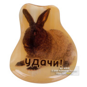 Магнит из селенита "Удачи" 